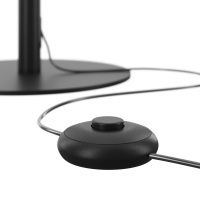 Торшер светодиодный Maytoni Ray Z012FL-L18B3K