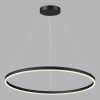 Люстра подвесная светодиодная Lumion ECHO 6530/67L