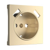 Накладка для USB розетки шампань WL11-USB-CP Werkel W1179511 4690389157462 a050854