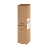 Бра Freya Mystery FR6063WL-L20B