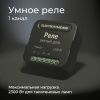 Умное одноканальное реле Elektrostandard 76006/00 a059324