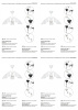 Люстра потолочная Vitaluce V3336-0/5PL