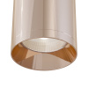 Светильник потолочный Maytoni Focus C010CL-01RG
