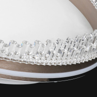 Светильник потолочный светодиодный Lussole HARDIN LSP-7429