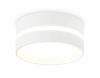 Светильник потолочный Ambrella light Techno TN5388 Светильник потолочный Ambrella light Techno TN5388