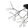 Потолочный светильник Freya Florencia FR5049CL-36B Потолочный светильник Freya Florencia FR5049CL-36B