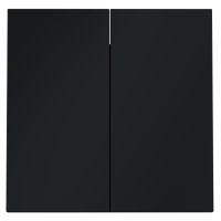 Клавиши для выключателя/переключателя двухклавишного Voltum S70 (графит) VLS000307