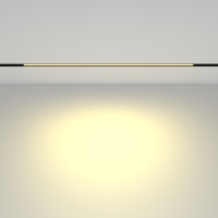 Трековый магнитный светодиодный светильник Maytoni EXILITY Basis TR030-2-24W2.7K-B