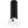 Потолочный светильник Lightstar Rullo R497436