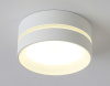 Светильник потолочный Ambrella light Techno TN5388 Светильник потолочный Ambrella light Techno TN5388