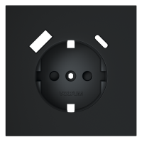 Накладка для розетки с заземлением и защитными шторками, с USB A+C Voltum S70 (графит) VLS001007