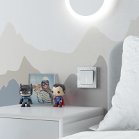 Выключатель одноклавишный с подсветкой Werkel W1110161 a059270