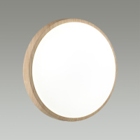 Светильник настенно-потолочный светодиодный Sonex LOSTA 7607/CLN