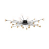 Люстра потолочная Freya Celebrity FR5242CL-24B