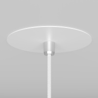 Подвесной светильник Maytoni Nevill P318-PL-01-W