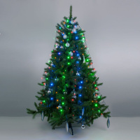 Гирлянда Eurosvet 200-003 200-003 мульти 0,45*1,5м IP20 a049840