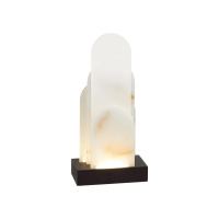 Настольная лампа светодиодная Odeon Light FOROS 5438/12TL