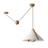 Светильник подвесной Freya Umbra FR5554CL-01T