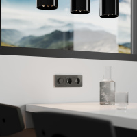 Диммер Werkel графит W1142044