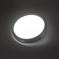 Светильник светодиодный настенно-потолочный Sonex TROSTO 7604/СL