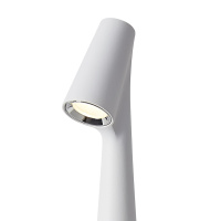 Настольная лампа светодиодная Freya Clam FR6188TL-L3W