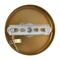 Люстра подвесная Lumion CHIPSY 8320/5