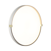 Светильник настенно-потолочный светодиодный Sonex OLIDI WHITE 7646/DLN