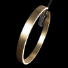 Торшер светодиодный Loft IT Ring 10027