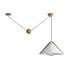 Светильник подвесной Freya Umbra FR5554CL-01T