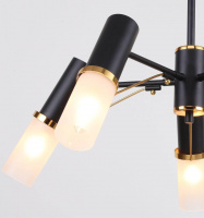 Потолочная люстра F-Promo Viator 2558-5P