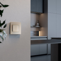 Умный сенсорный выключатель двухклавишный Werkel шампань W4523011