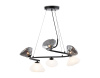 Люстра подвесная Ambrella light LH15003
