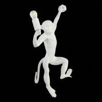 Настенный светильник Evoluce Tenato SLE115111-01