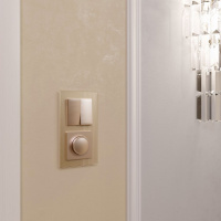 Выключатель двухклавишный проходной шампань Werkel W1122011 4690389157141 a050866