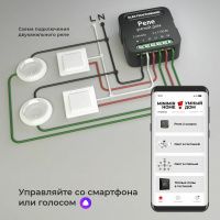 Умное двухканальное реле Elektrostandard 76007/00 a059326