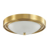 Потолочный светильник Lumion Nina 5259/2C Потолочный светильник Lumion Nina 5259/2C