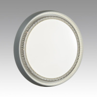 Светильник настенно-потолочный светодиодный Sonex RAHIG 7644/ELN