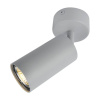 Спот Arte Lamp Aquarius A3216PL-1GY