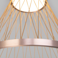 Светильник потолочный светодиодный Eurosvet Cesta 40018/1 LED коричневый a069290