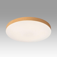 Светильник настенно-потолочный светодиодный Sonex GAMMA 7761/36L