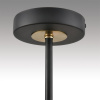 Люстра на штанге Lumion VIVANA 8153/6C