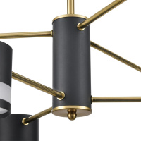Люстра на штанге Lumion LANIKA 8240/6C