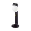 Уличный ландшафтный светильник Odeon Light LUMA 5434/1F