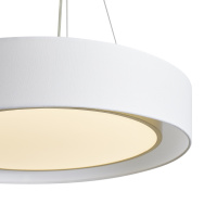 Люстра подвесная светодиодная Freya Cozy FR6170PL-L52BS