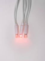 Светодиодная гирлянда Uniel занавес 220V красный ULD-C2030-240/SWK RED IP67 UL-00001362