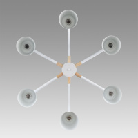 Люстра на штанге Lumion ROSALINA 8097/6C